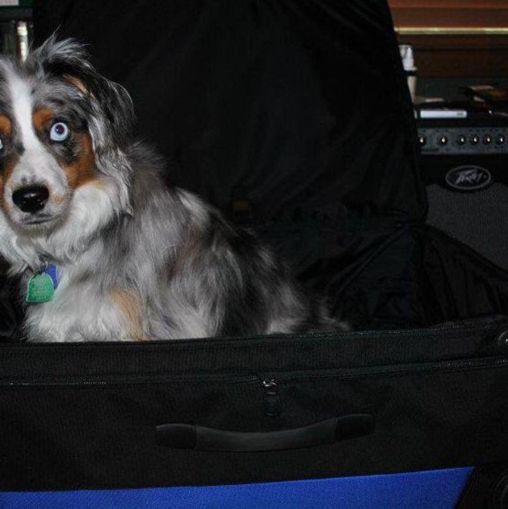 Meet your Posher, Debbi